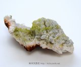 緑鉛鉱（パイロモルファイト）04