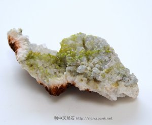 画像1: 緑鉛鉱（パイロモルファイト）04