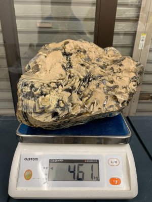 画像1: スマトラ産超特大琥珀原石(ブルーアンバー)未処理
