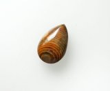 スネークスキンストーン（魚類咽頭歯の化石）225