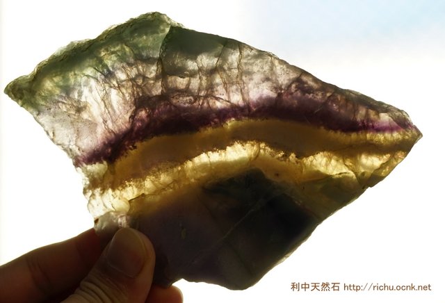 フローライト（蛍石）スライス（プレート）原石33 fluorite slice