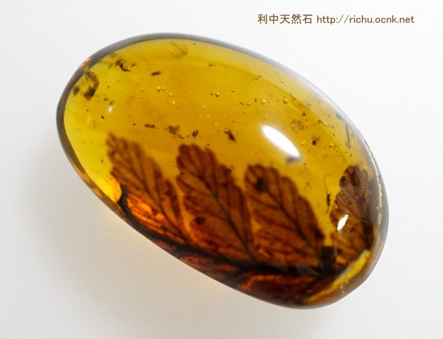 ミャンマー産琥珀（葉）バーマイト05 利中天然石