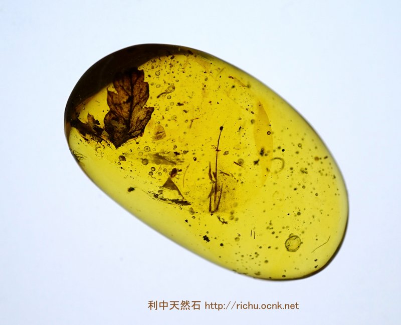 ミャンマー産琥珀（葉）バーマイト14 利中天然石