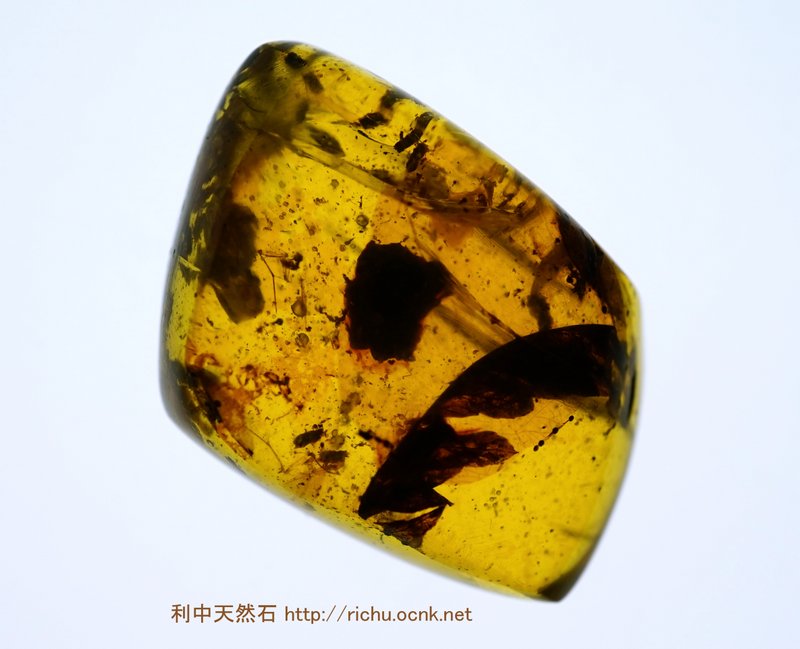 ミャンマー産琥珀（葉）バーマイト18 利中天然石